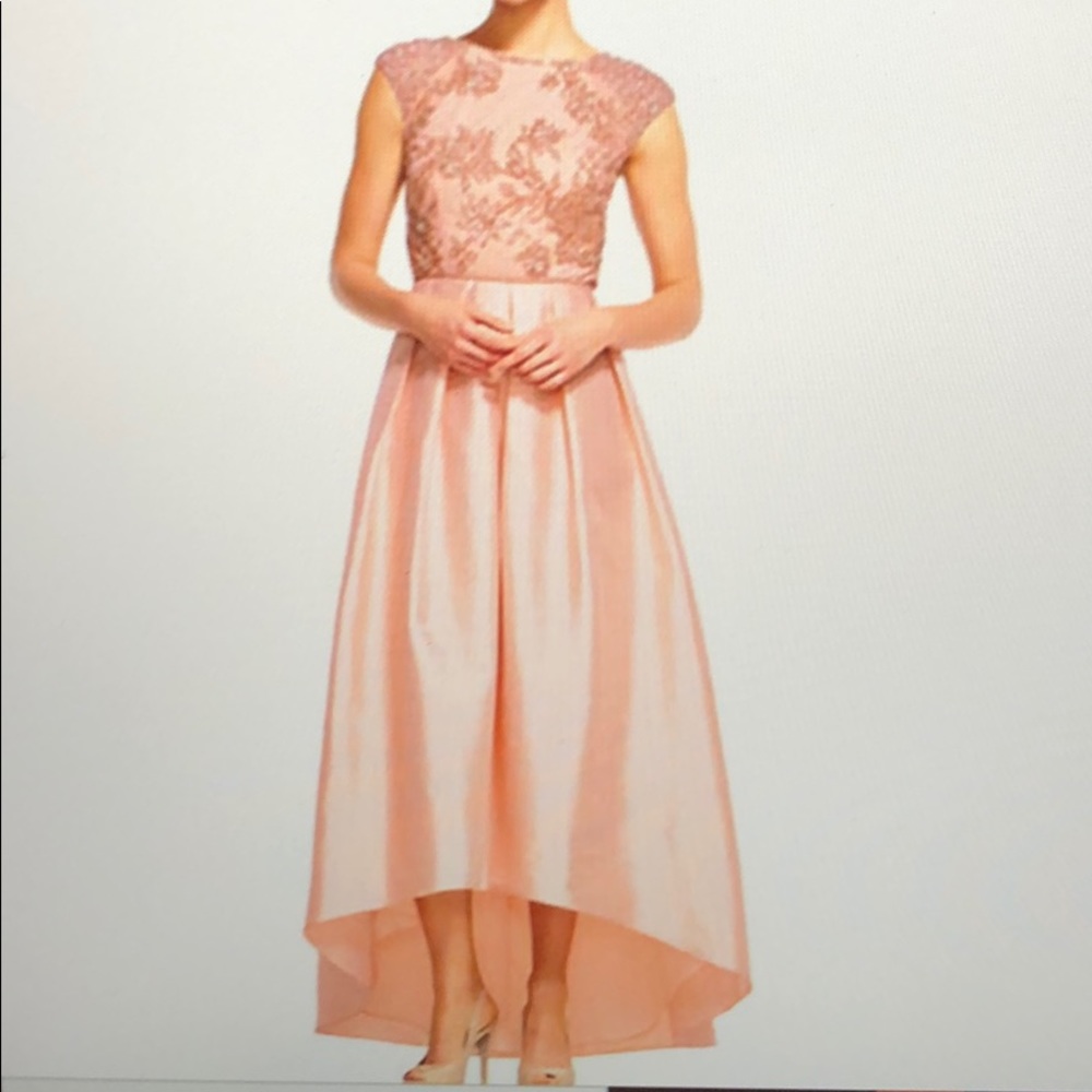 BNWT Adrianna Papell Blush Taffeta Hilow Ball Gown